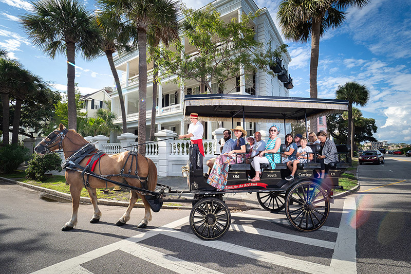 Charleston's Toursit Carriage Ride | Take My Mother Please Tours